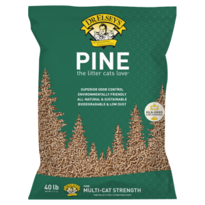 Pine Litter