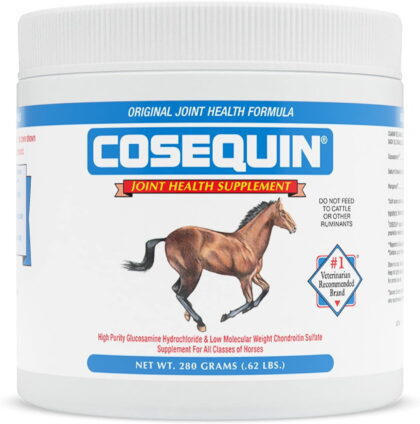 Nutramax Cosequin Powder with Glucosamine & Chondroitin Original Joint Health Supplement for Horses, .62-lb tub